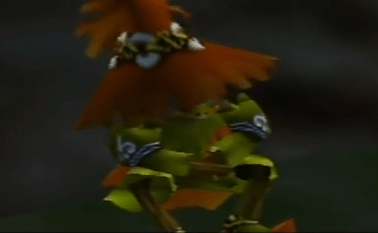 Screen Shot 2016-11-22 at 12.03.57 AM.png